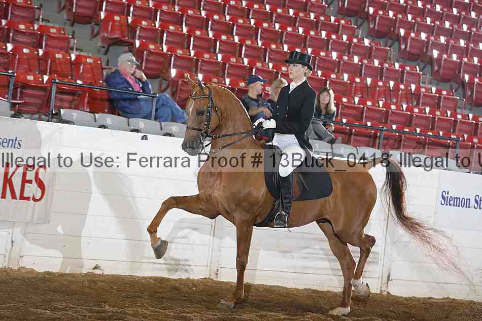 Proof 13buck_0418