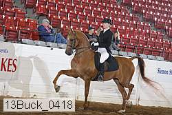 13buck_0418 proof
