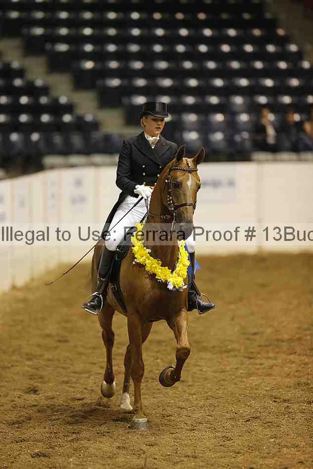 Proof 13buck_0423