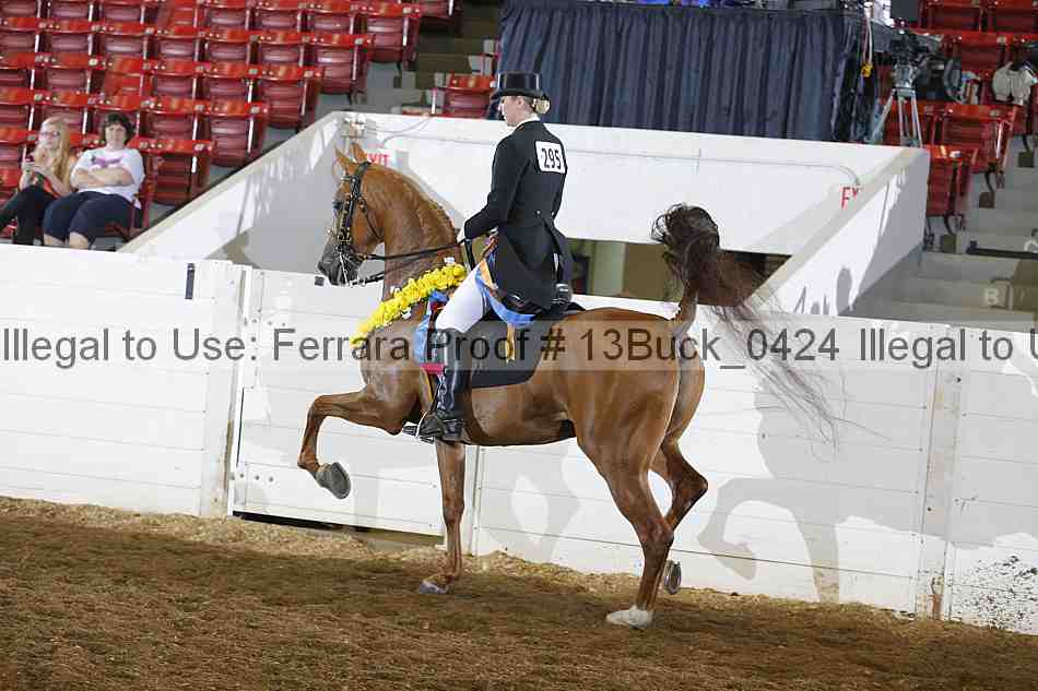 Proof 13buck_0424