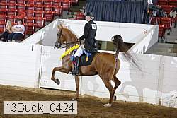13buck_0424 proof
