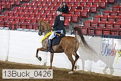 13buck_0426 proof