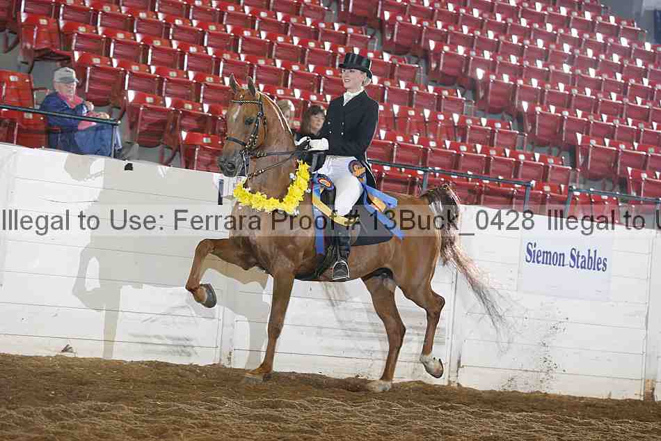 Proof 13buck_0428