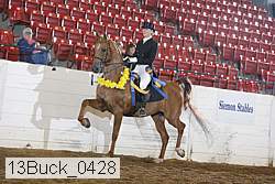 13buck_0428 proof