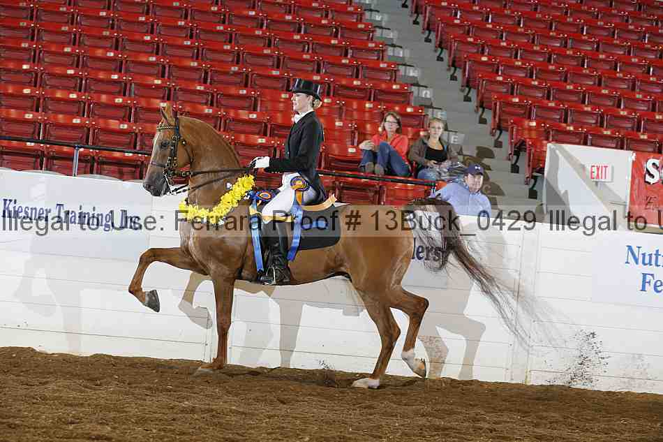 Proof 13buck_0429