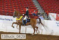 13buck_0429 proof
