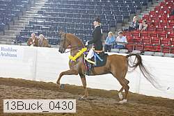 13buck_0430 proof