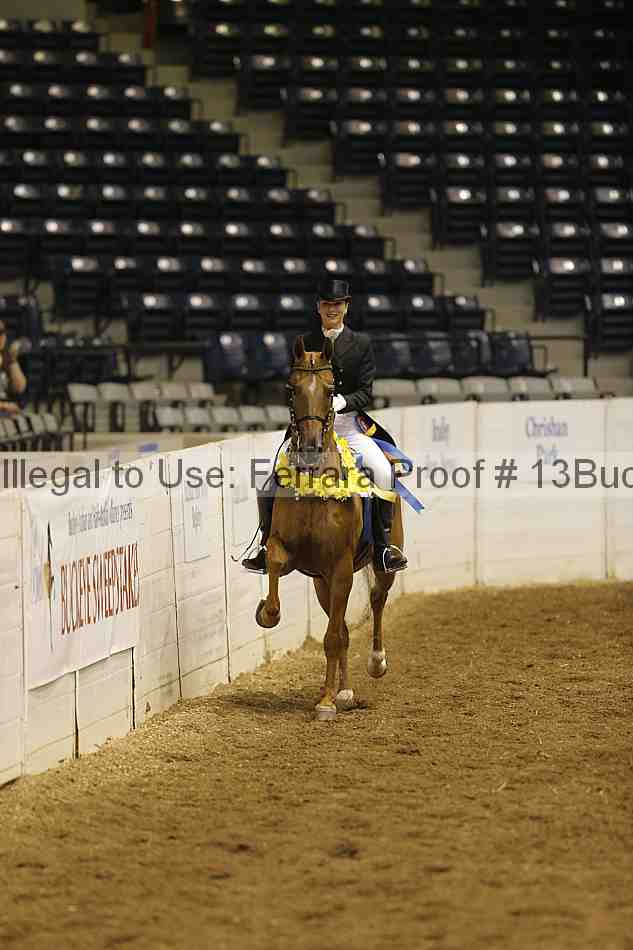 Proof 13buck_0431