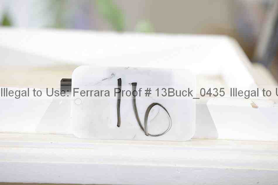 Proof 13buck_0435