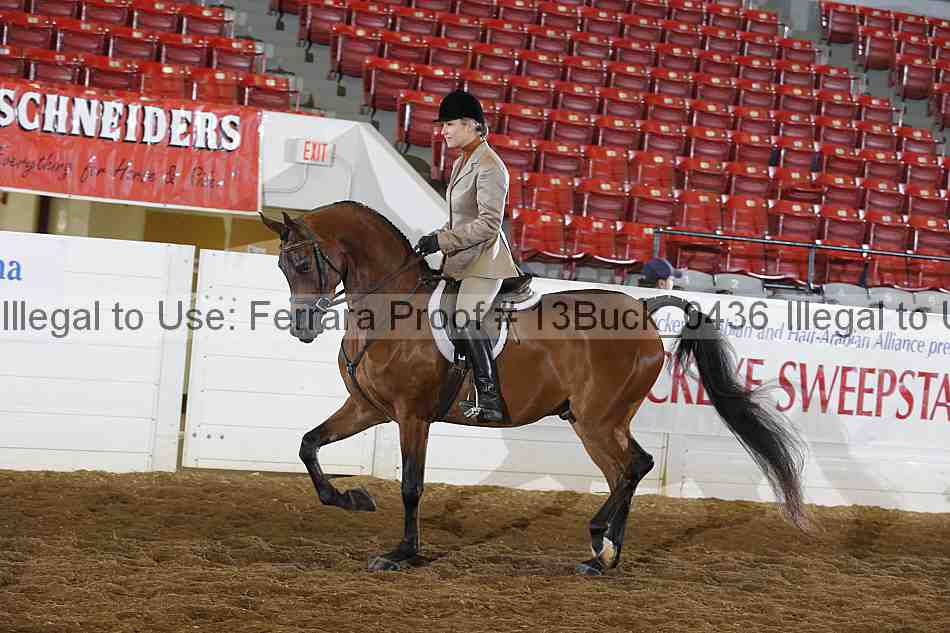 Proof 13buck_0436