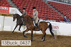 13buck_0437 proof
