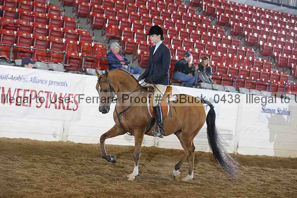 Proof 13buck_0438