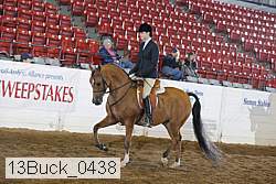 13buck_0438 proof
