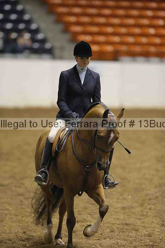 Proof 13buck_0444