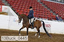 13buck_0445 proof