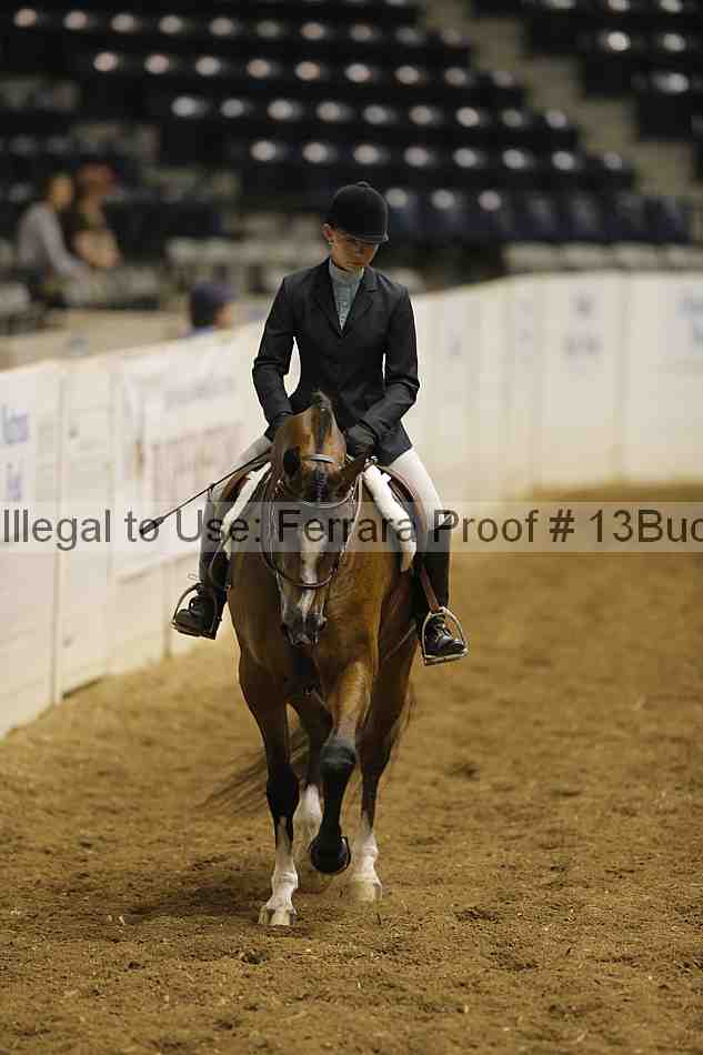Proof 13buck_0446