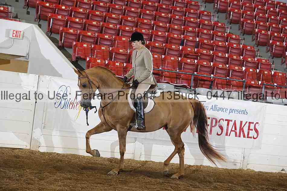 Proof 13buck_0447