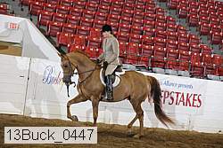 13buck_0447 proof