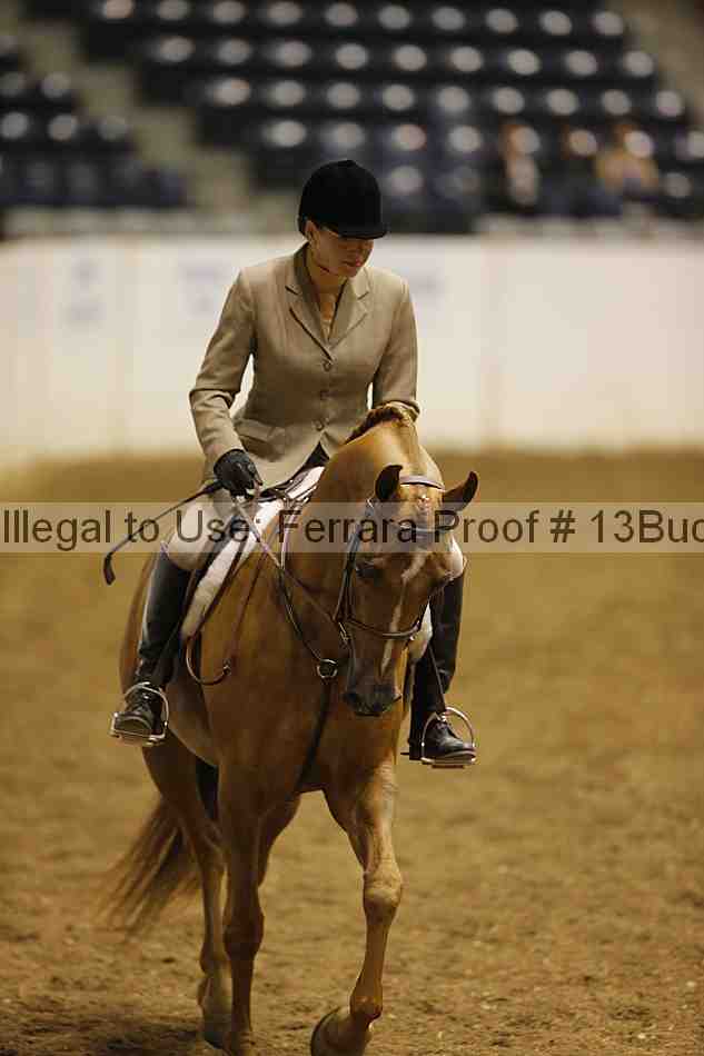 Proof 13buck_0450