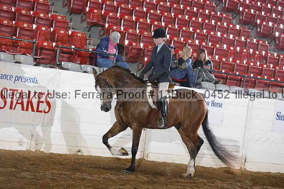 Proof 13buck_0452