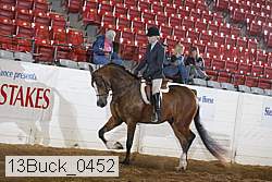 13buck_0452 proof