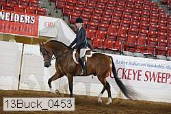 13buck_0453 proof
