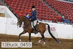 13buck_0455 proof