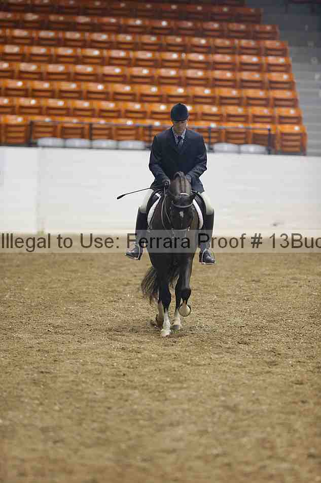 Proof 13buck_0459