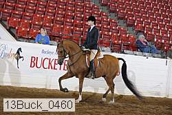 13buck_0460 proof