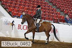 13buck_0462 proof
