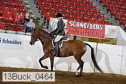 13buck_0464 proof