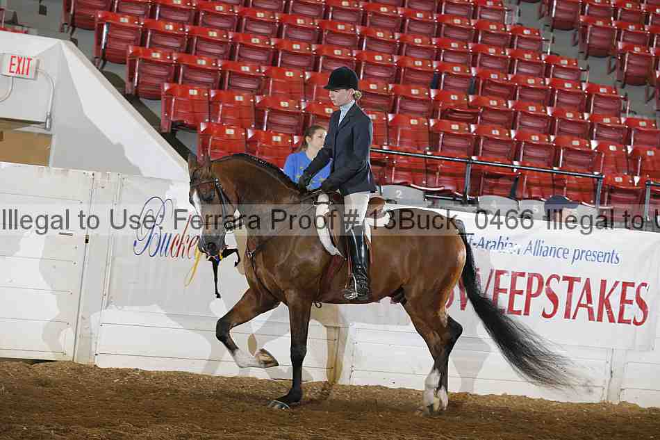 Proof 13buck_0466