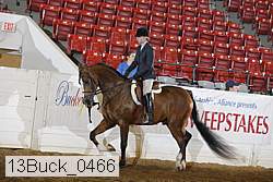 13buck_0466 proof
