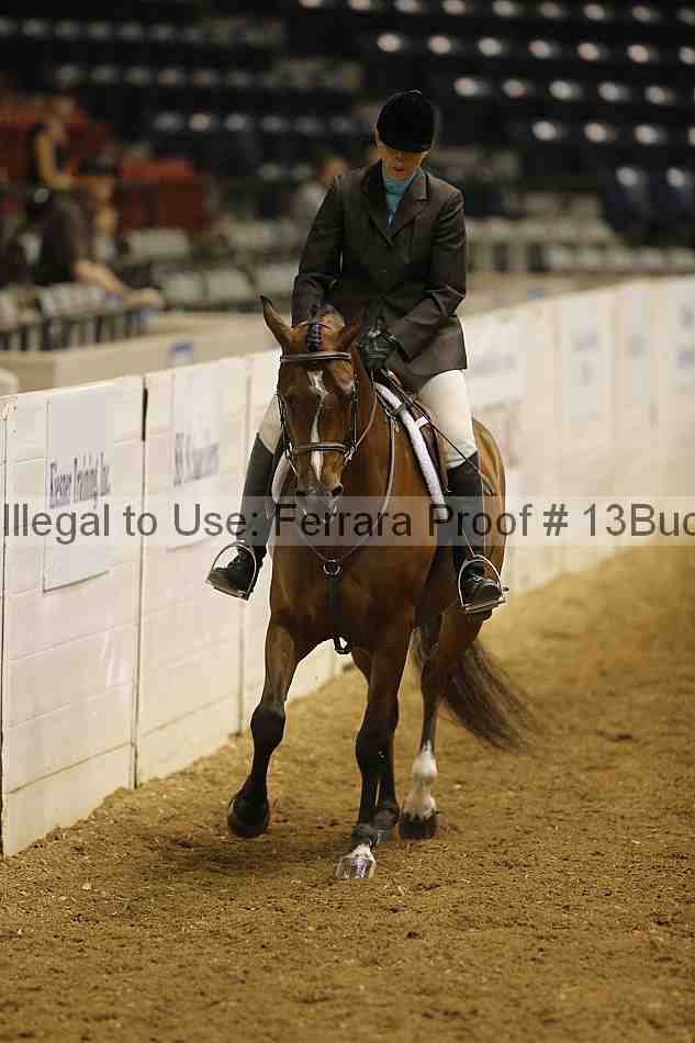 Proof 13buck_0467