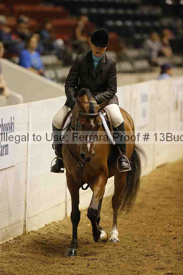 Proof 13buck_0468