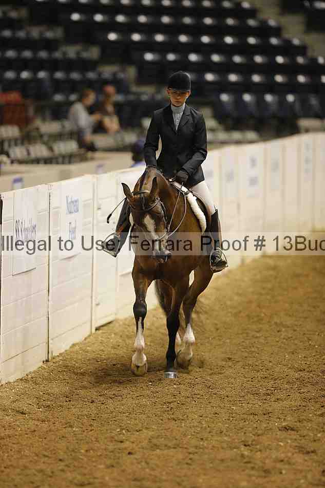 Proof 13buck_0469