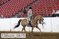13buck_0475 proof
