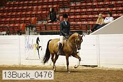 13buck_0476 proof