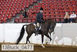13buck_0477 proof