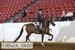 13buck_0480 proof