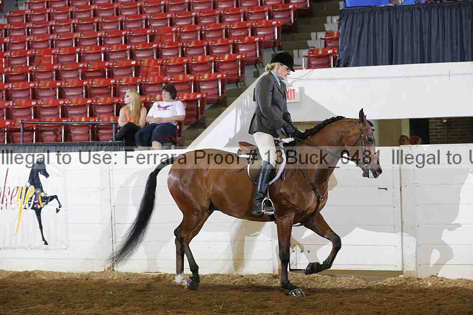 Proof 13buck_0481