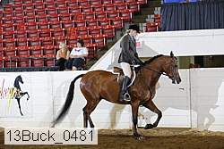 13buck_0481 proof