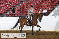 13buck_0482 proof