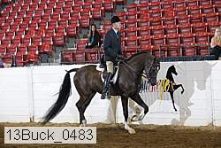 13buck_0483 proof