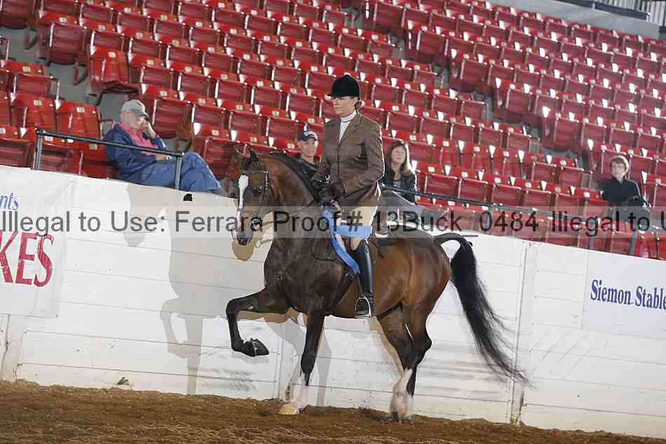 Proof 13buck_0484