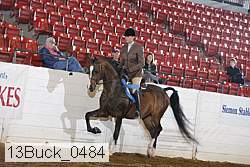 13buck_0484 proof