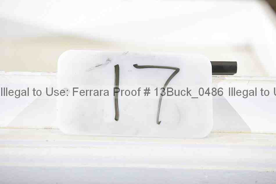 Proof 13buck_0486