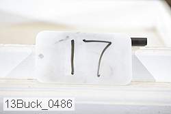 13buck_0486 proof