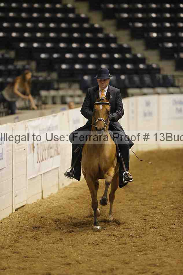 Proof 13buck_0488