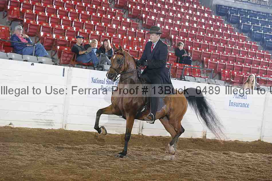 Proof 13buck_0489